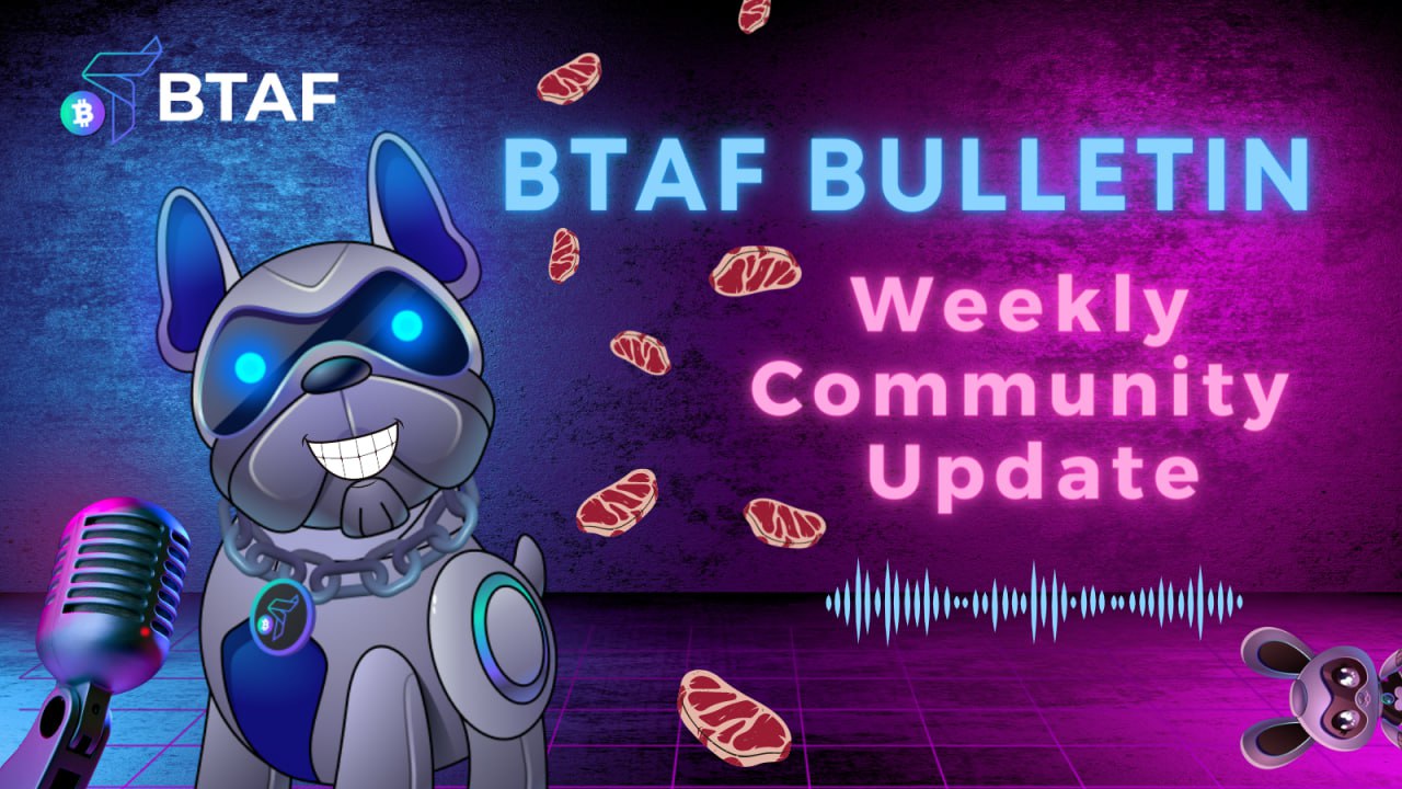 BTAF token weekly bulletin #30 – July 28th