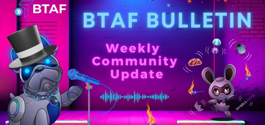 BTAF token weekly bulletin #31 – Aug 4th