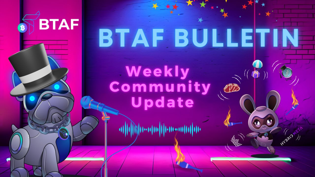 BTAF token weekly bulletin #31 – Aug 4th