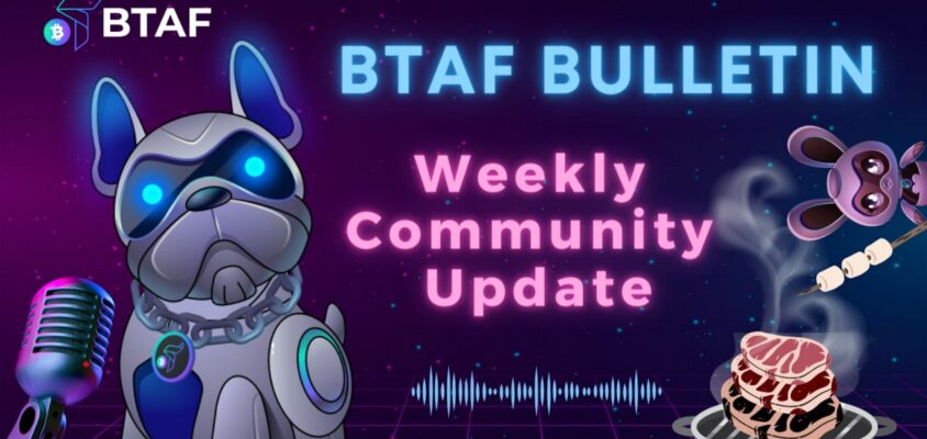 BTAF token weekly bulletin #3️⃣3️⃣ – Aug 18th