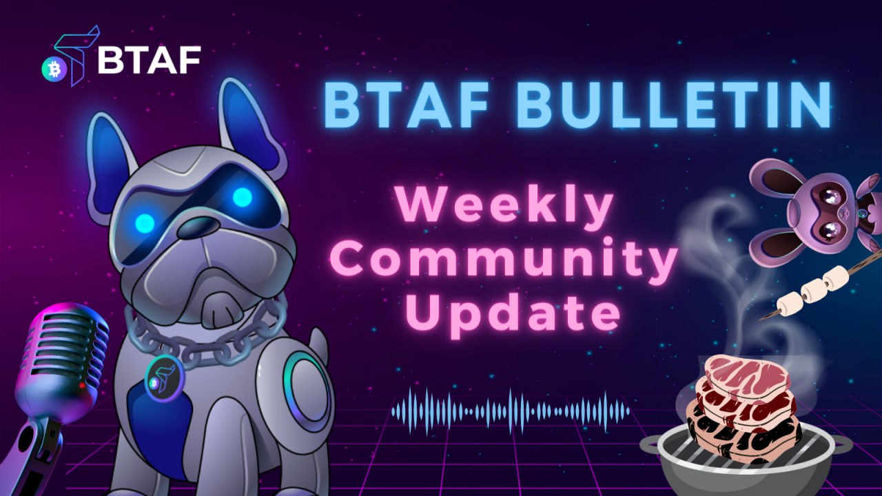 BTAF token weekly bulletin #3️⃣3️⃣ – Aug 18th