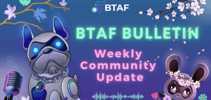 🍂💐 BTAF token weekly bulletin #35 – 1 Sept