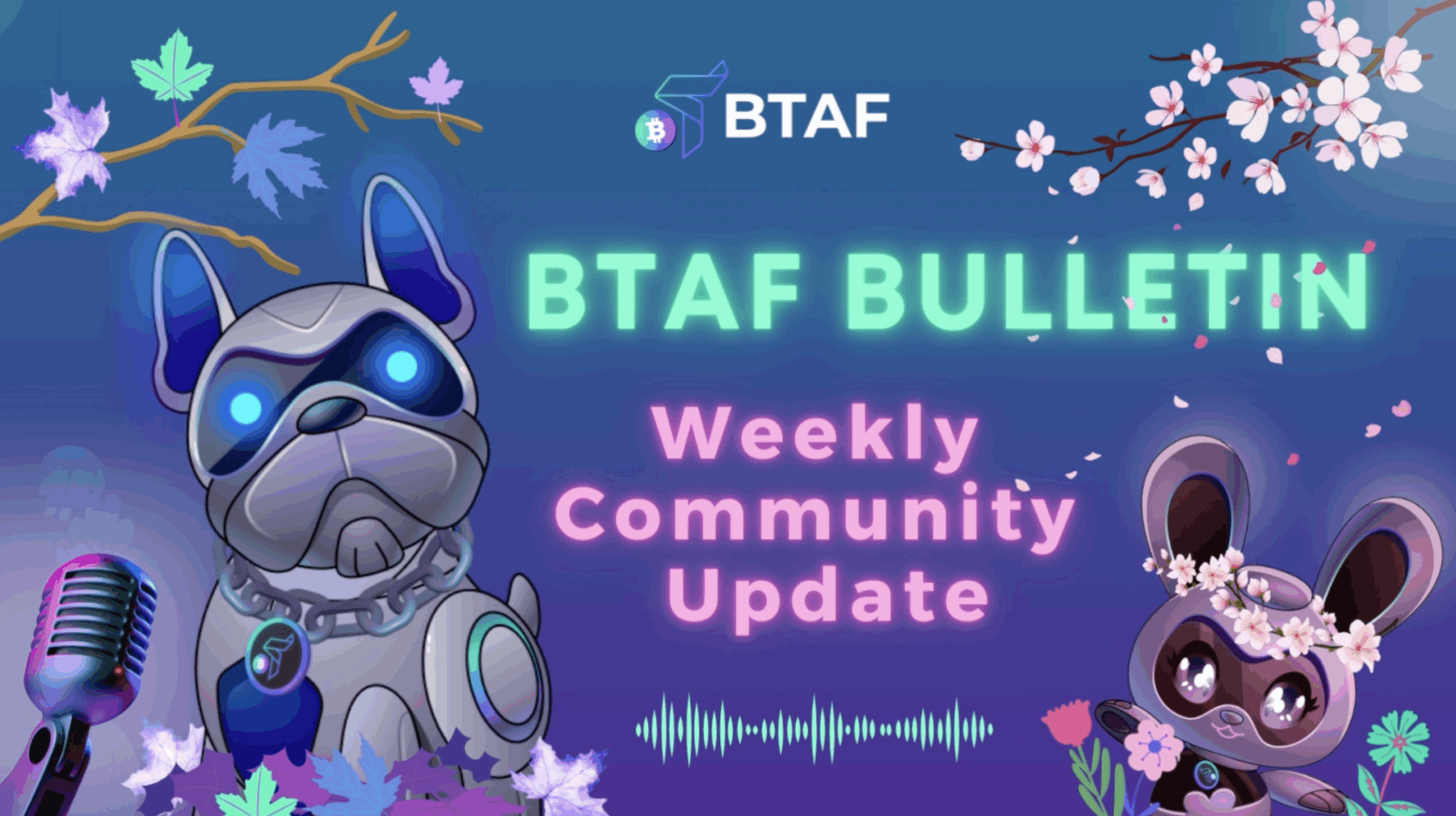 🍂💐 BTAF token weekly bulletin #35 – 1 Sept
