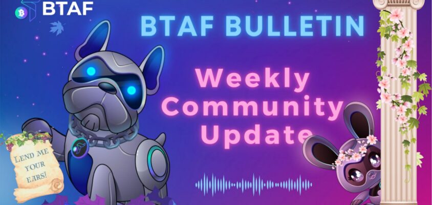 🐺 BTAF token weekly bulletin #37 – 15 September