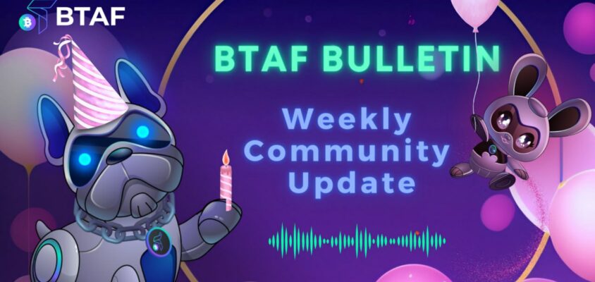 🆒 BTAF token weekly bulletin #40 – 6 October 2023