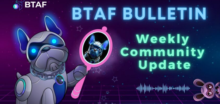 🔥 BTAF token weekly bulletin #41 – 13 October 2023