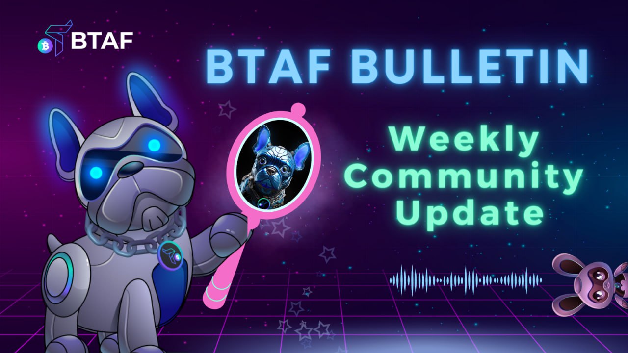 🔥 BTAF token weekly bulletin #41 – 13 October 2023
