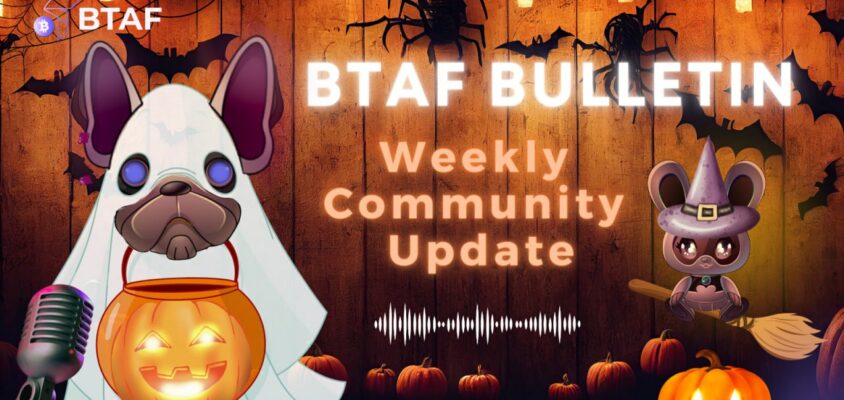 👻 BTAF token weekly bulletin #43 – 27 October