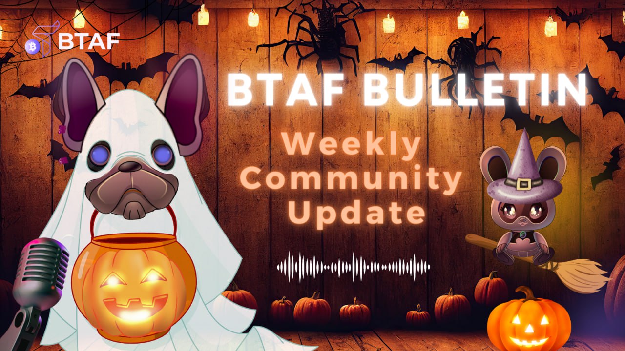 👻 BTAF token weekly bulletin #43 – 27 October