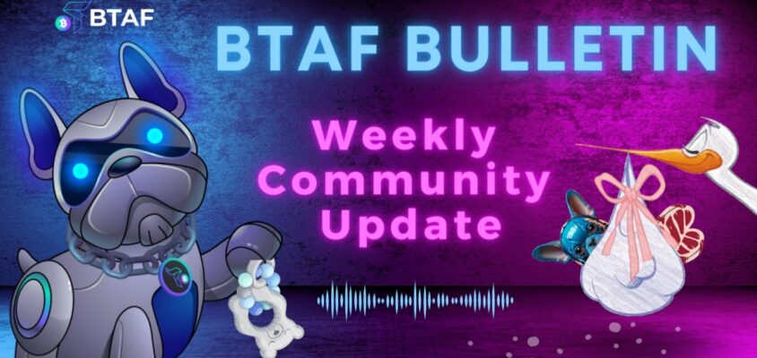 🥩🐶 BTAF token weekly bulletin #44 – 3 November 2023