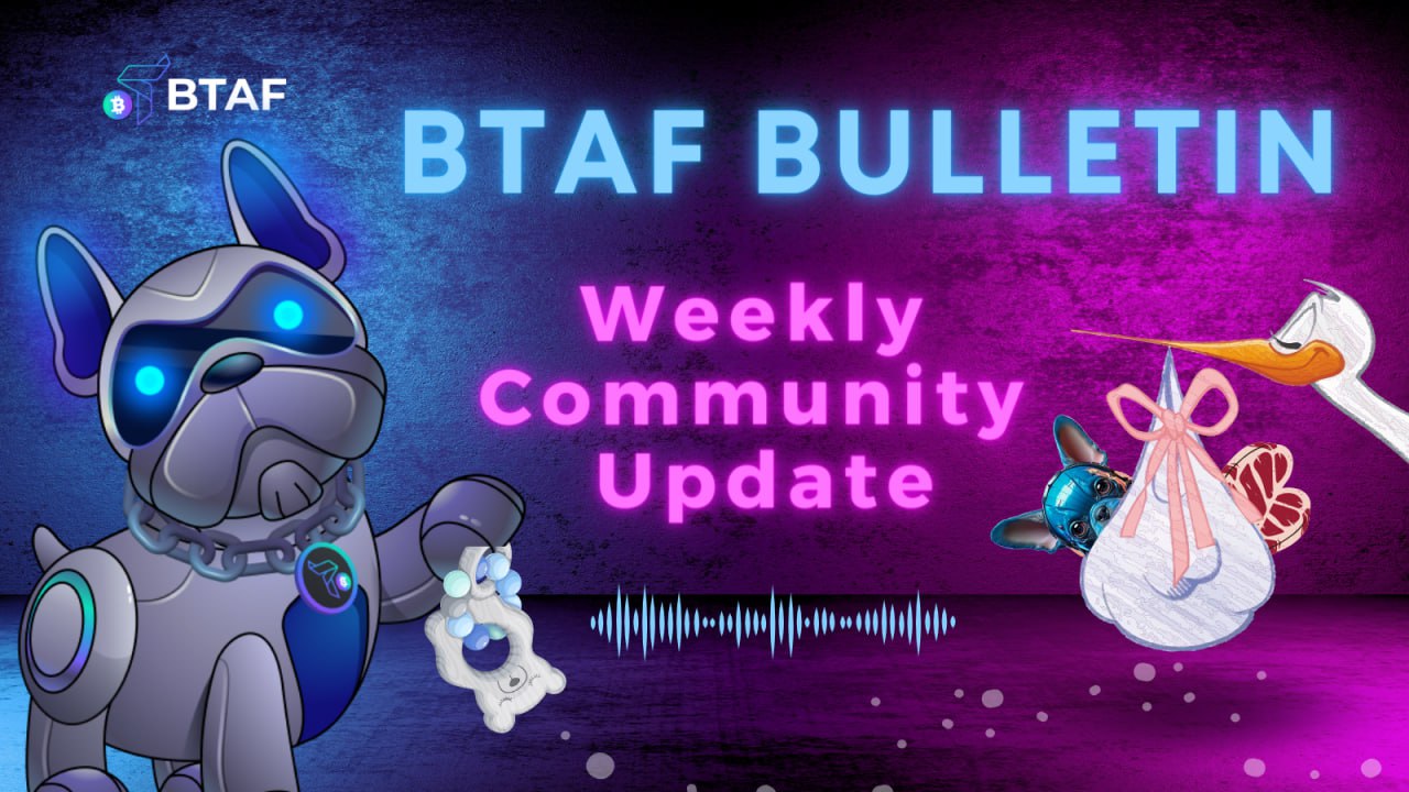 🥩🐶 BTAF token weekly bulletin #44 – 3 November 2023