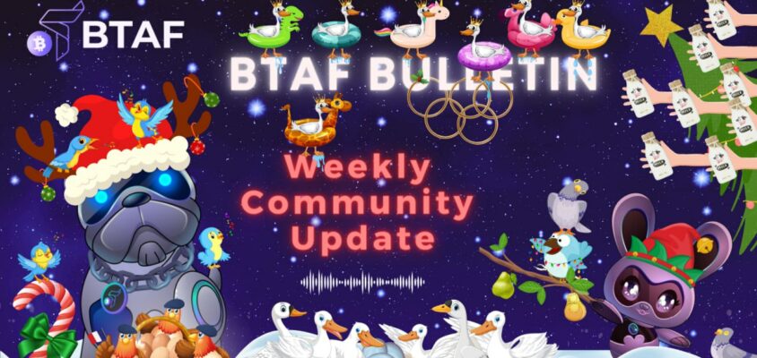 🥩🥩🥩🥩 BTAF token weekly bulletin #49 – 8 December 2023