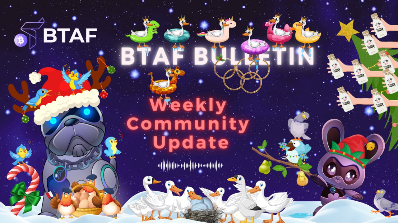 🥩🥩🥩🥩 BTAF token weekly bulletin #49 – 8 December 2023