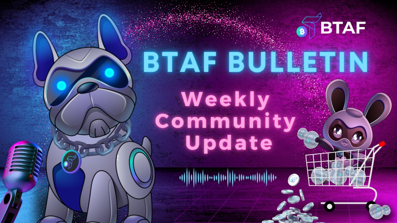 💰 BTAF token weekly bulletin #57 – 3 February 2024