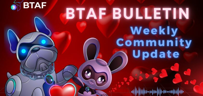 💕 BTAF token bulletin #59 – 16 February 2024
