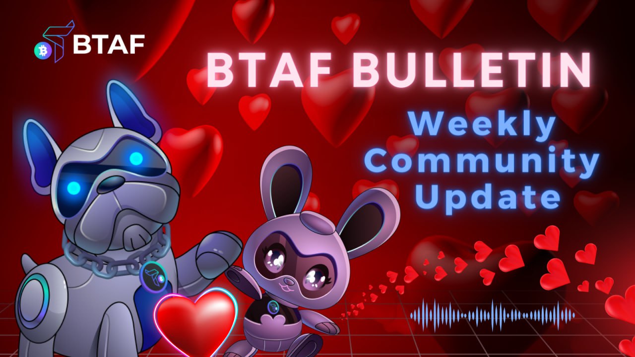 💕 BTAF token bulletin #59 – 16 February 2024