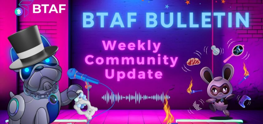🐶 BTAF token weekly bulletin #60 – 23 February 2024
