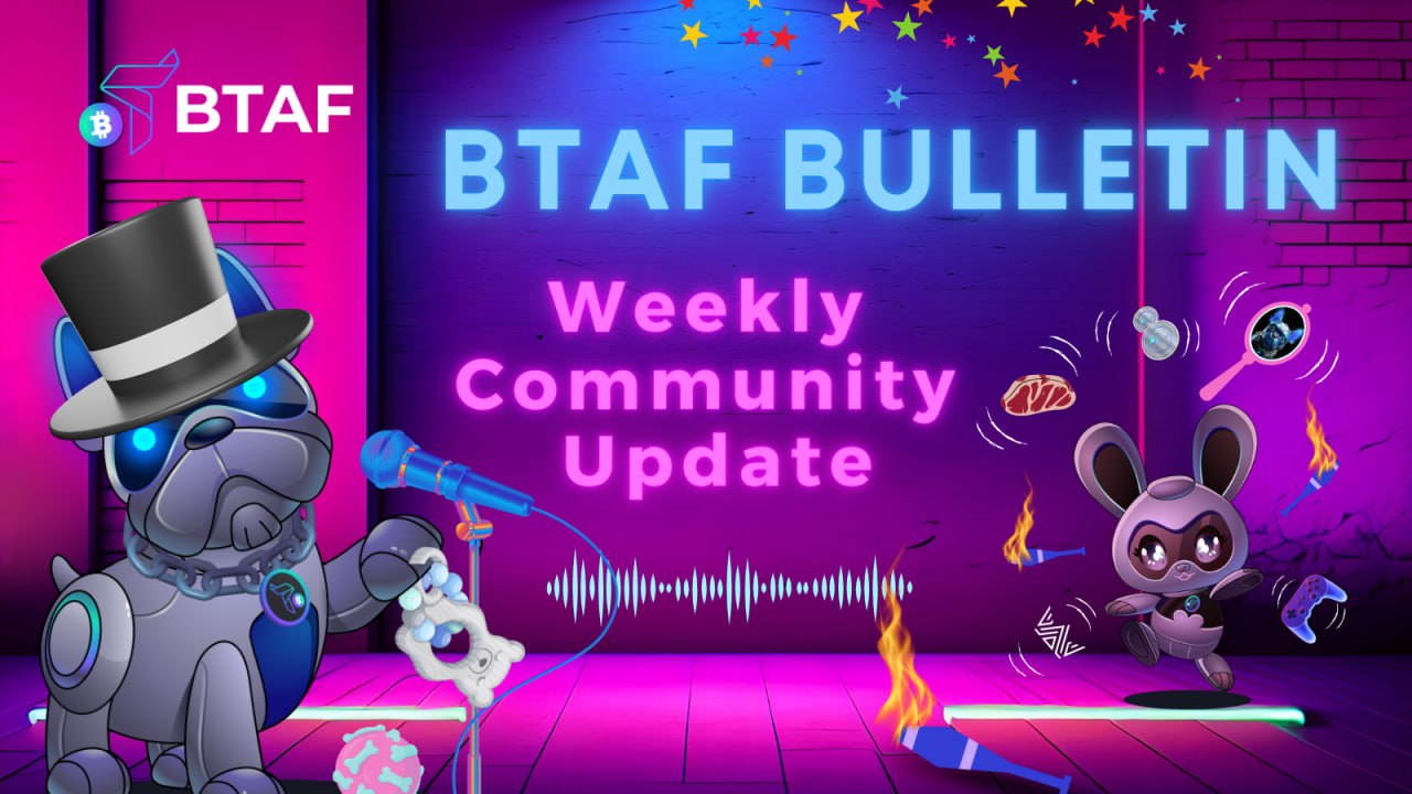 🐶 BTAF token weekly bulletin #60 – 23 February 2024