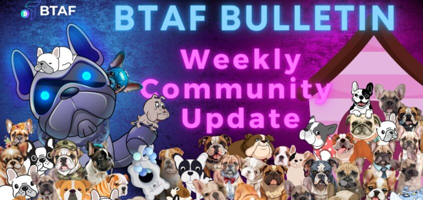 🐕🖼 BTAF token weekly bulletin #61 – 2 March 2024