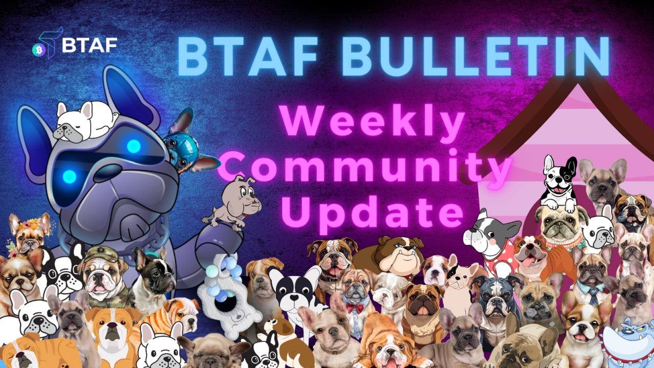 🐕🖼 BTAF token weekly bulletin #61 – 2 March 2024