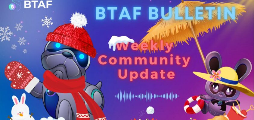 ☀️❄️ BTAF token weekly bulletin #77 – 23 June 2024