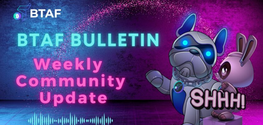 🫢 BTAF token weekly bulletin #83 – 4 August 2024