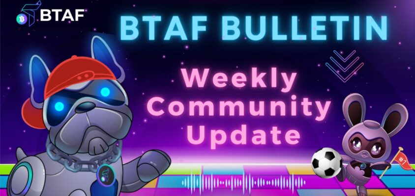 👉🏼 BTAF token weekly bulletin #85 – 16 August 2024
