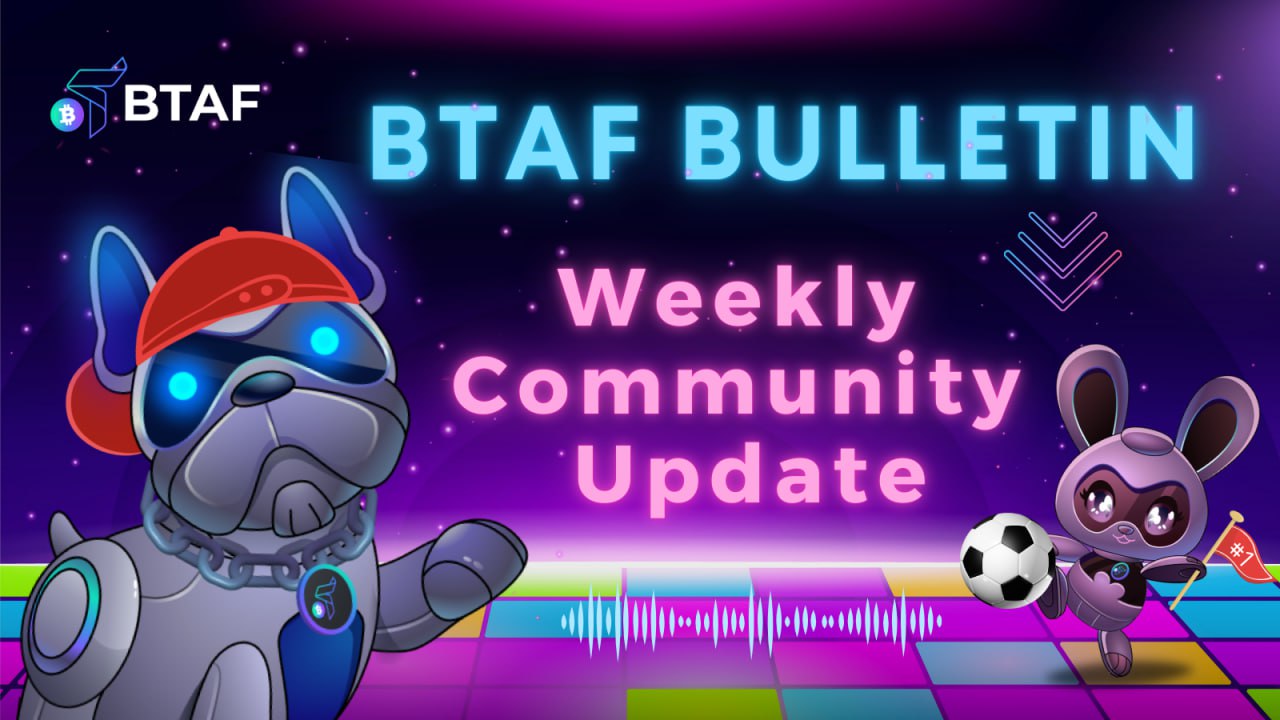 👉🏼 BTAF token weekly bulletin #85 – 16 August 2024