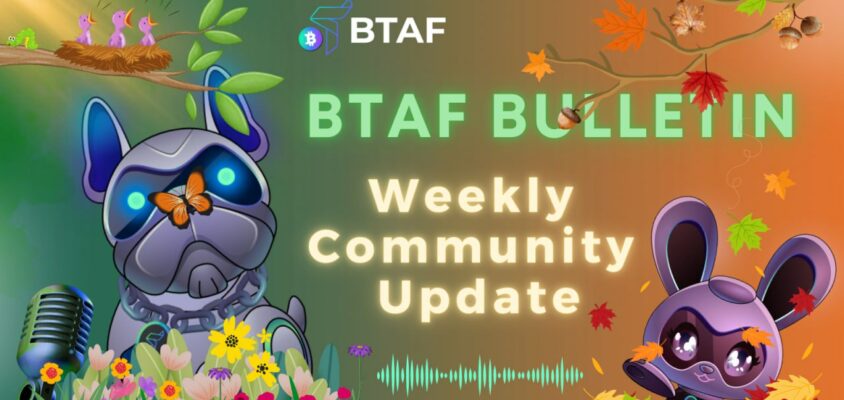 💐🍂 BTAF token weekly bulletin #87 – 31 August 2024