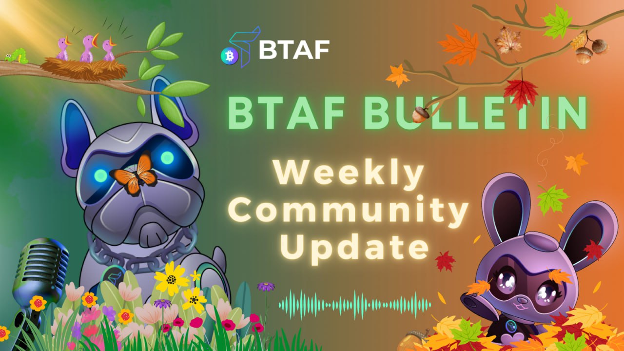 💐🍂 BTAF token weekly bulletin #87 – 31 August 2024
