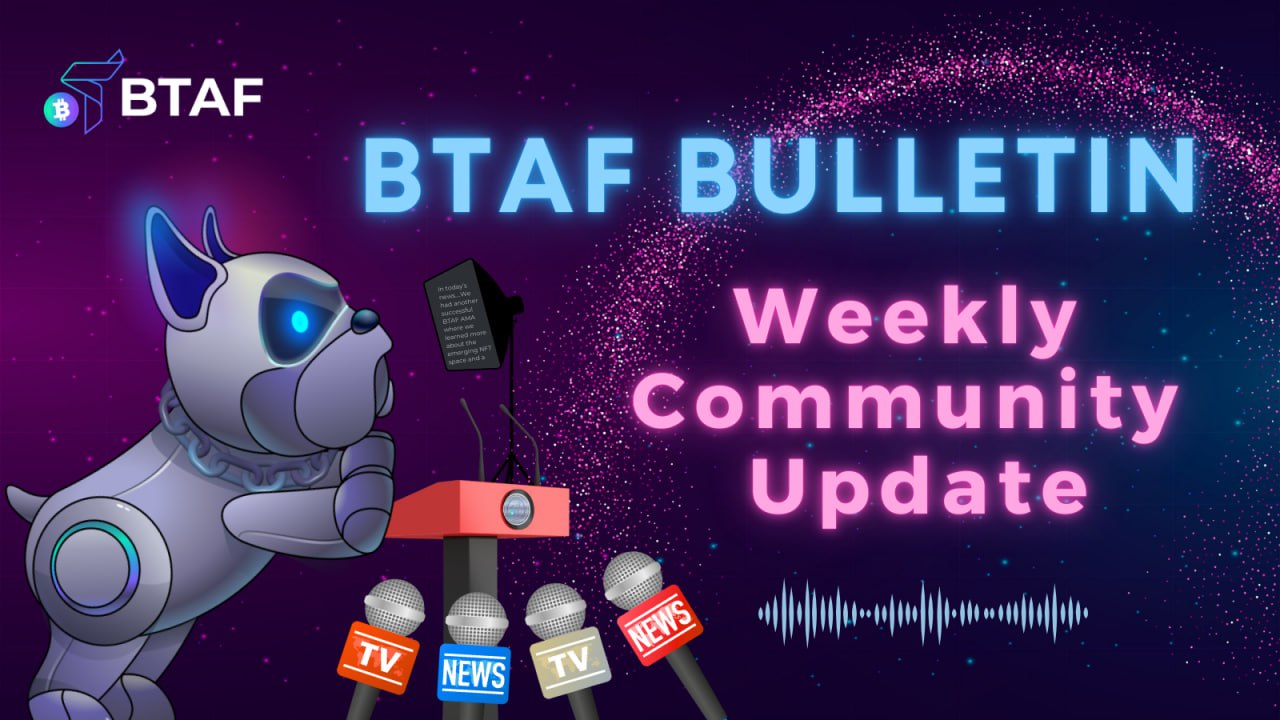 🌪 BTAF token weekly bulletin #93 – 13 October 2024