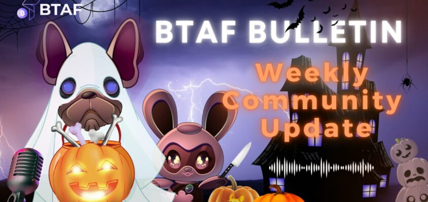 👻 BTAF token weekly bulletin #95 – 25 October 2024