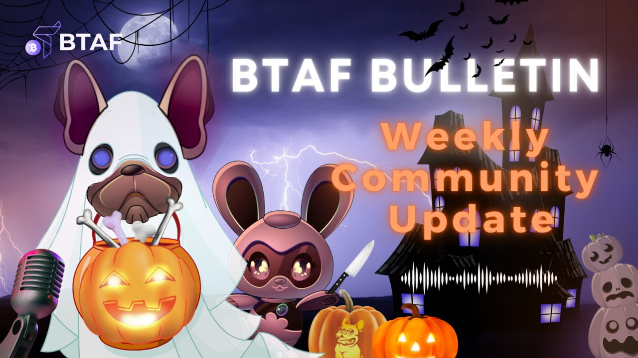 👻 BTAF token weekly bulletin #95 – 25 October 2024