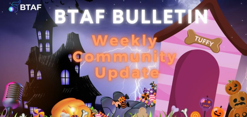 🇺🇸 BTAF token weekly bulletin #96 – 3 November 2024
