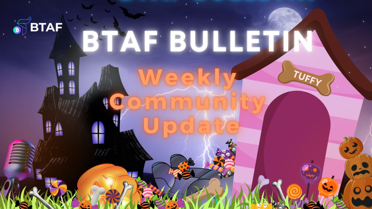 🇺🇸 BTAF token weekly bulletin #96 – 3 November 2024