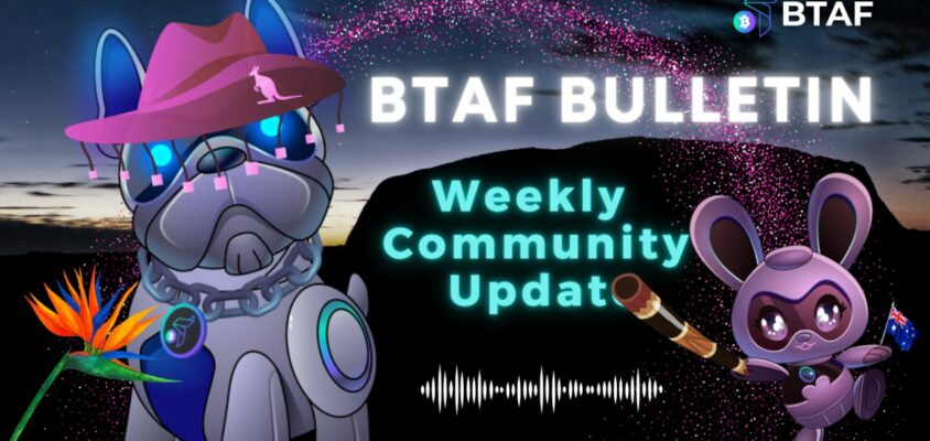 🎈 BTAF token weekly bulletin #99 – 29 November 2024