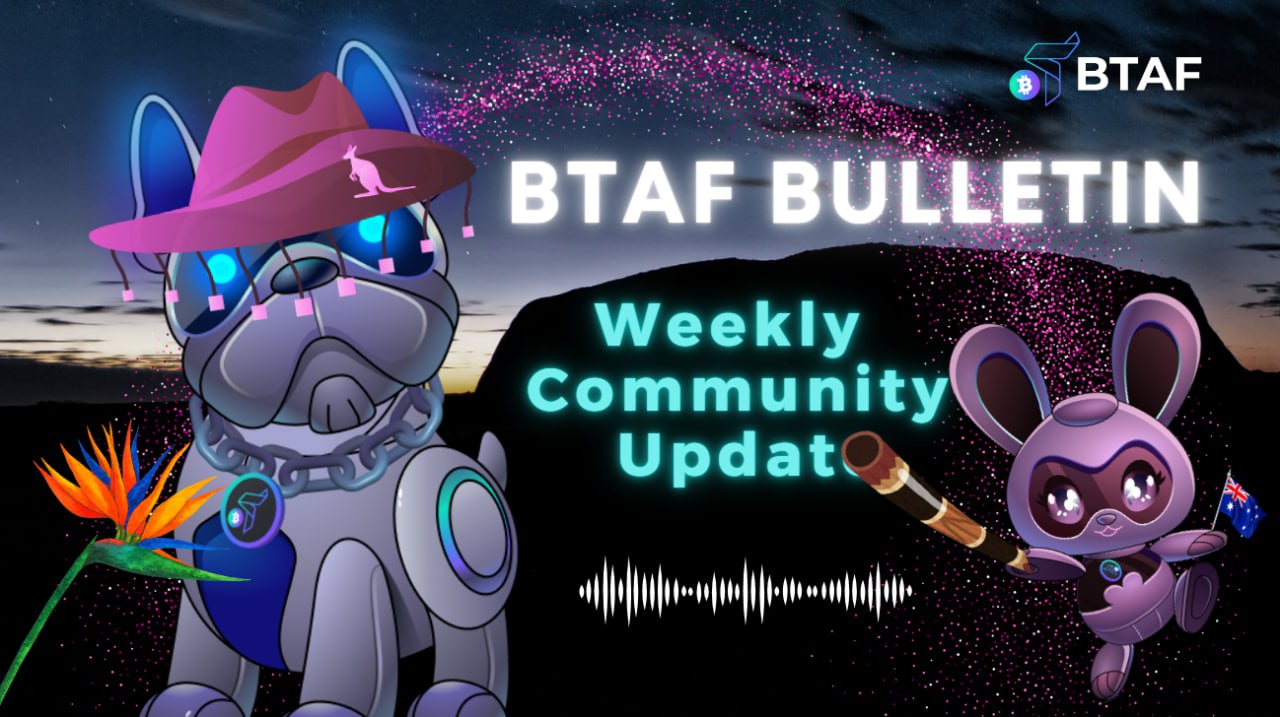 🎈 BTAF token weekly bulletin #99 – 29 November 2024