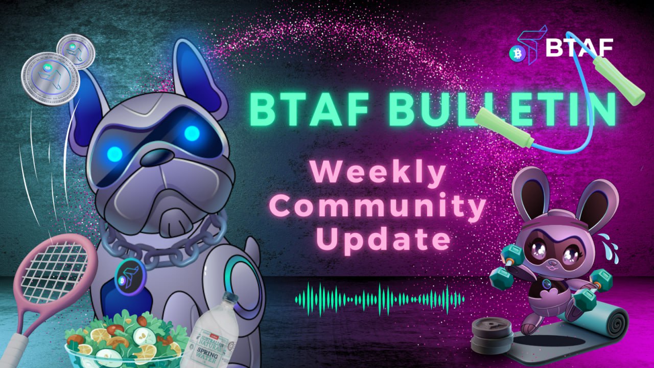 🆕 BTAF token weekly bulletin #101 – 5 January 2025