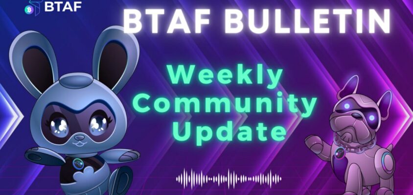 🌿 BTAF token weekly bulletin #102 – 11 January 2025