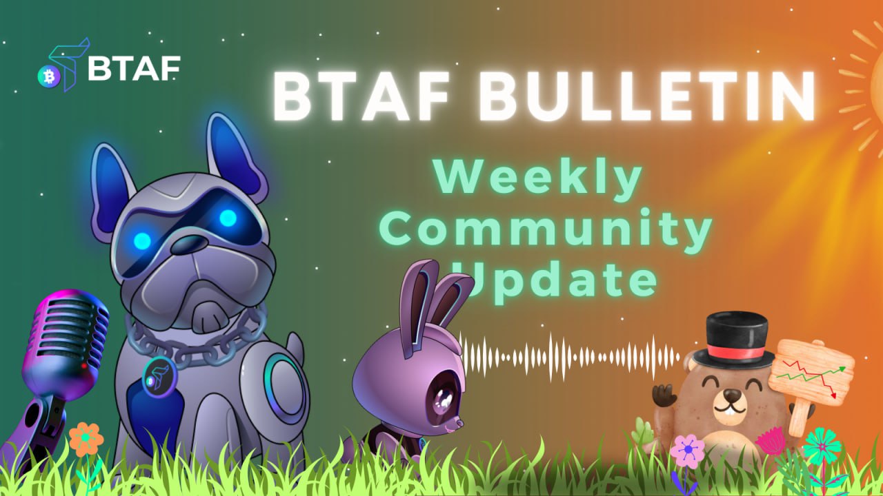 🦡 BTAF token weekly bulletin #105 – 2 February 2025