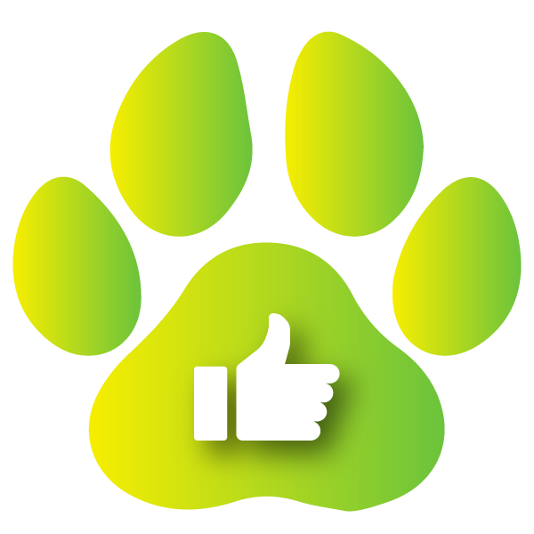 Thumbs Up Icon