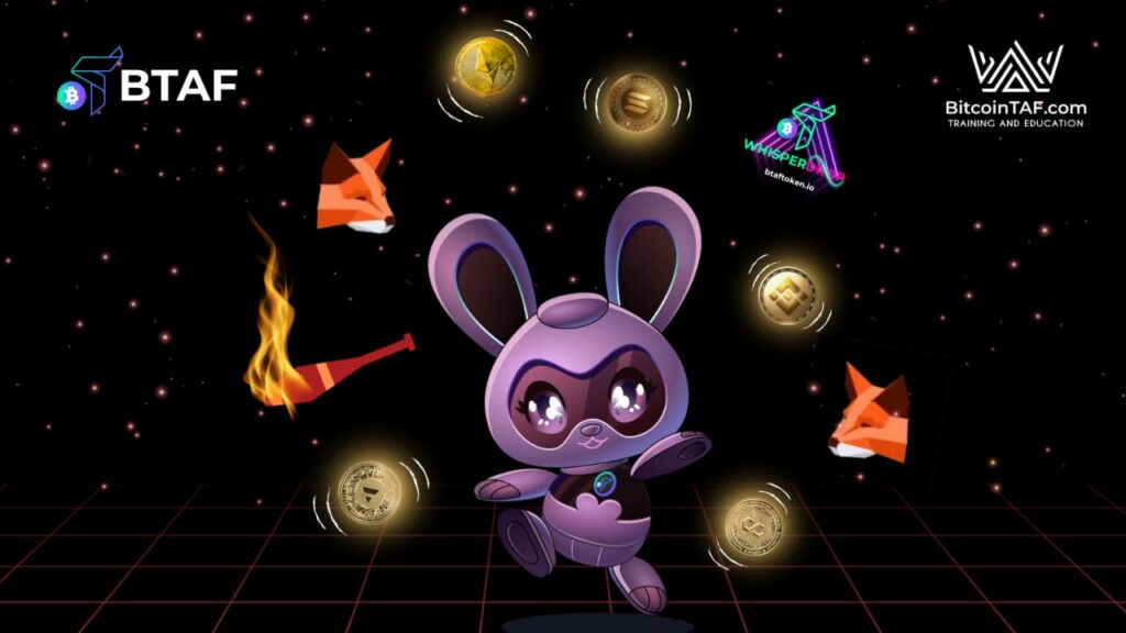 MetaMask expands to Solana and Avalanche
