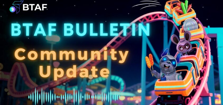 🪙 BTAF BULLETIN – 17 October 2025 #116