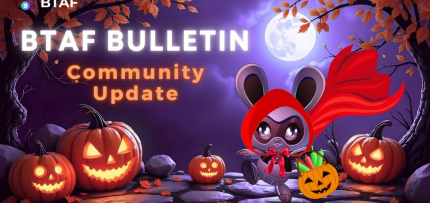 🪙 BTAF BULLETIN – 31 October 2025 #118