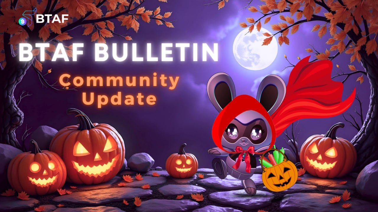 🪙 BTAF BULLETIN – 31 October 2025 #118