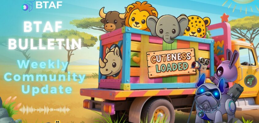 🪙 BTAF BULLETIN – 8 November 2025 #119