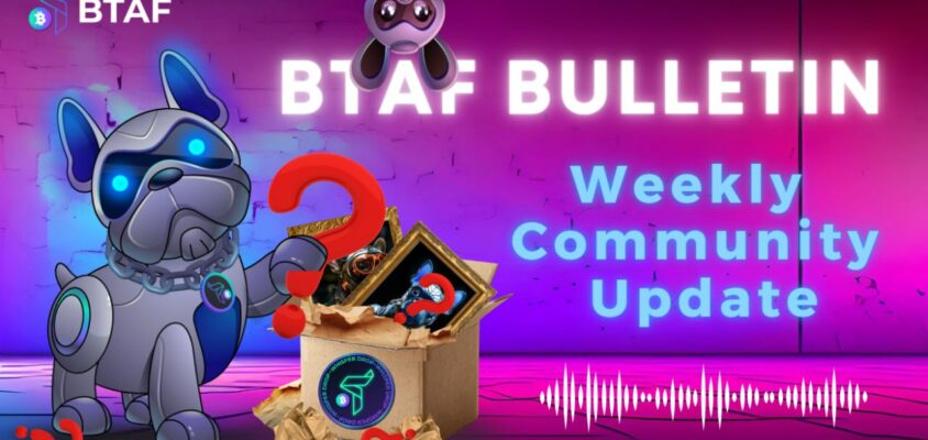 🪙 BTAF BULLETIN – 16 November 2025 #120