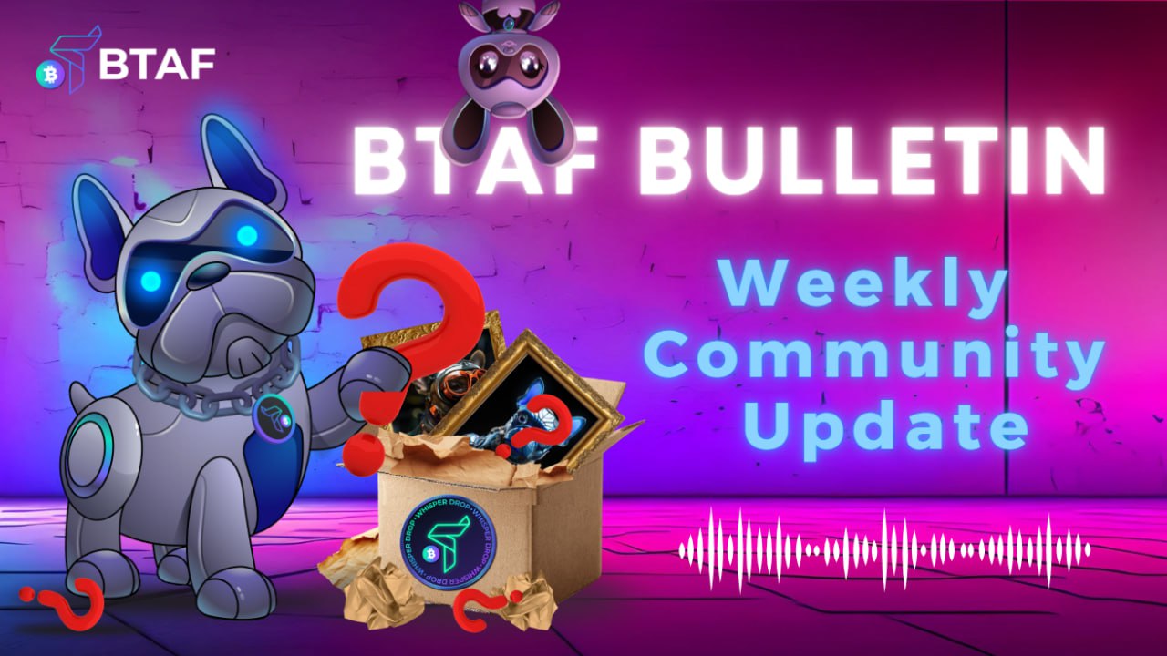 🪙 BTAF BULLETIN – 16 November 2025 #120