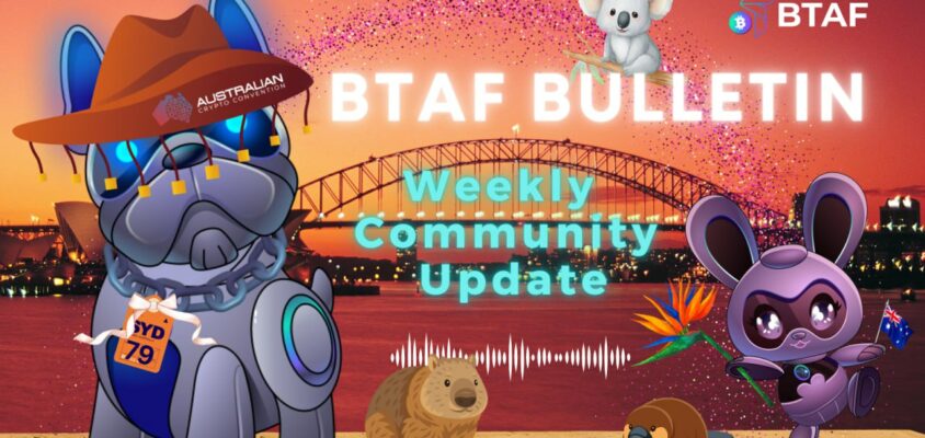 🪙 BTAF BULLETIN – 21 November 2025 #121