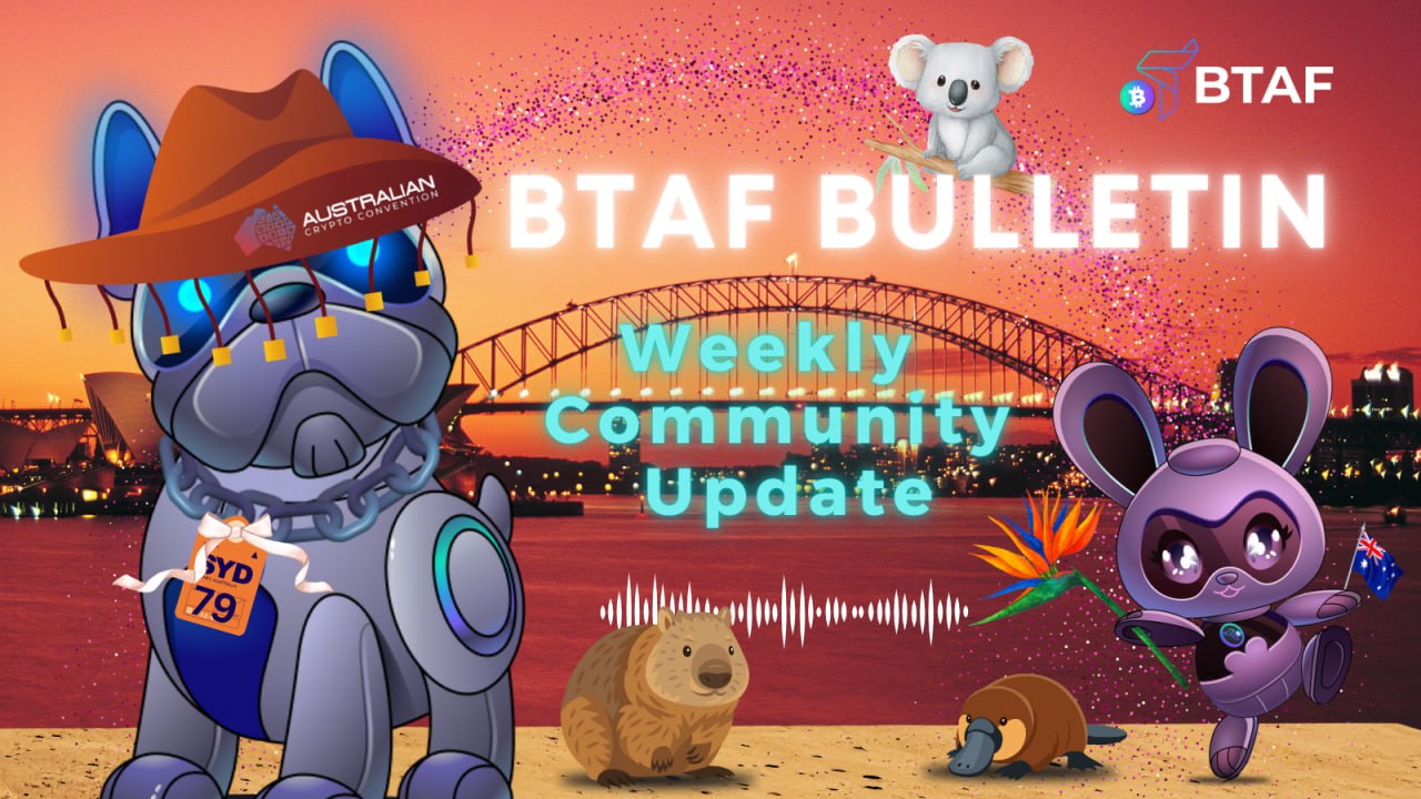 🪙 BTAF BULLETIN – 21 November 2025 #121
